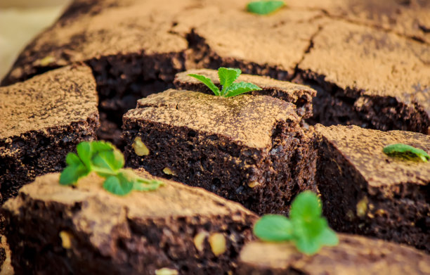 巧克力布朗尼，选择性聚焦。食品和饮料。图片下载