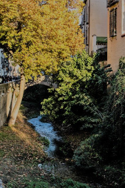 西班牙安达卢西亚格拉纳达的秋天图片下载