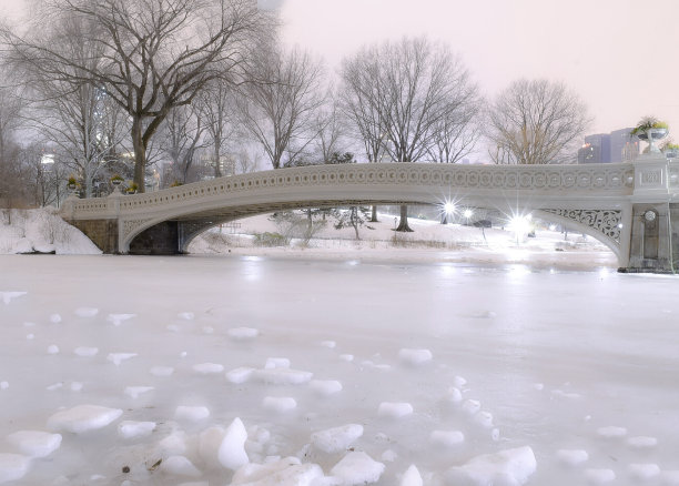 纽约中央公园的冰湖图片下载