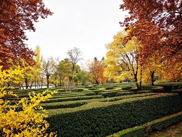 公园的任性图片下载