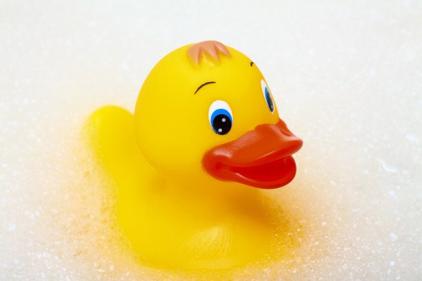 黄色的鸭子图片下载