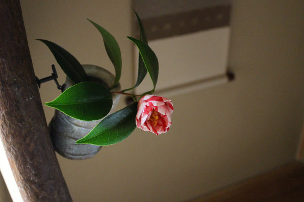 日式房间：花瓶和古董罐图片下载