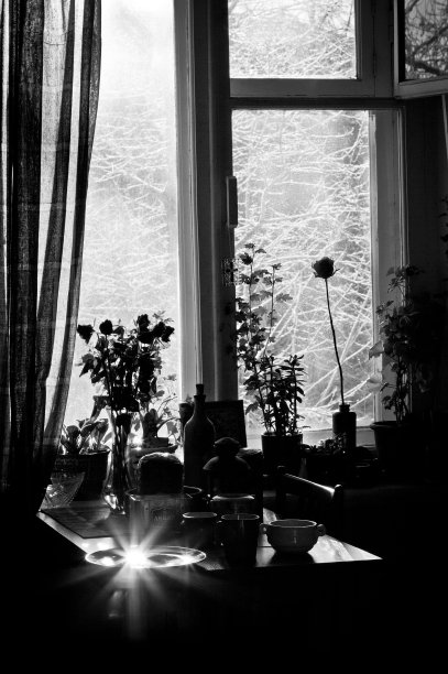 我到家了图片下载