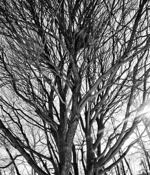 不常见的图片下载