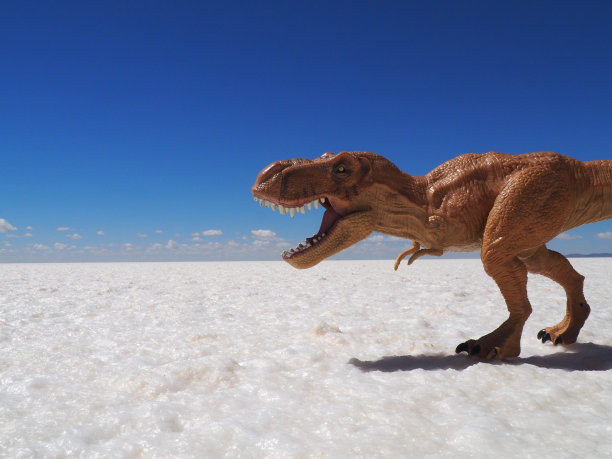 玻利维亚乌尤尼盐沼中的恐龙图片下载