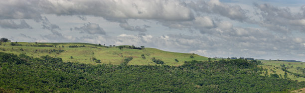 农场景观图片下载