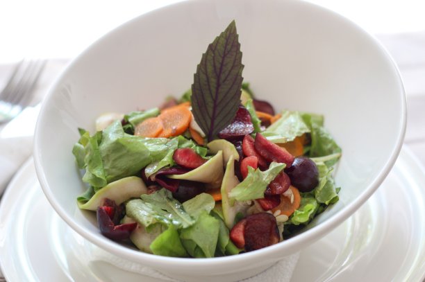 由有机蔬菜制成的新鲜食物放在一个白色的盘子里图片下载