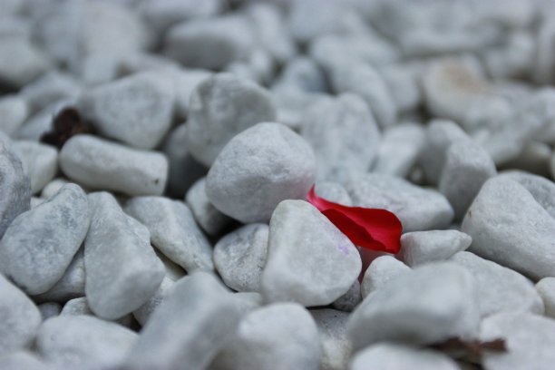 孤独的红图片下载