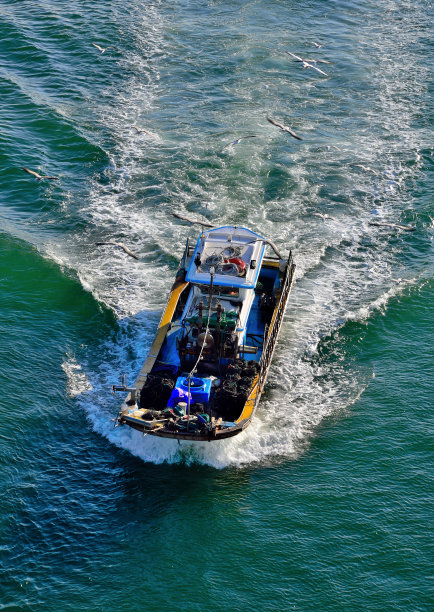 VD713号船返回图片下载