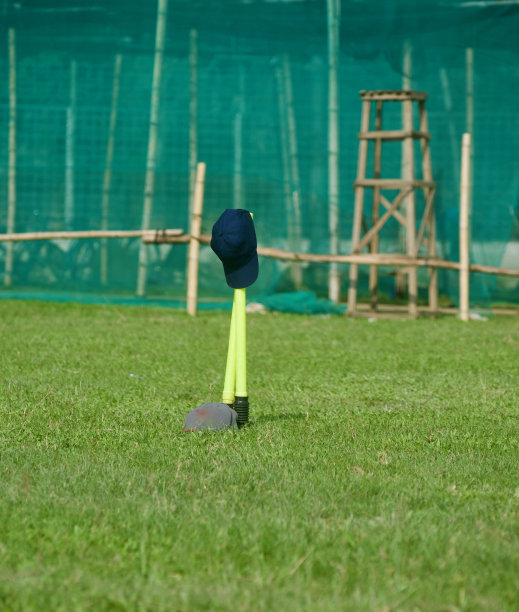 蟋蟀在地上的树桩上戴着帽子图片下载