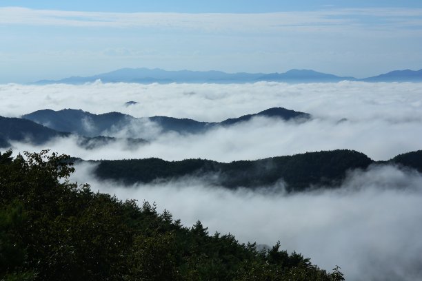 多利撒的晨云VH519图片下载