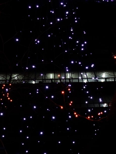 圣诞装饰VH544图片下载