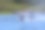 驼峰，马达加斯加。圣玛丽岛。图片下载