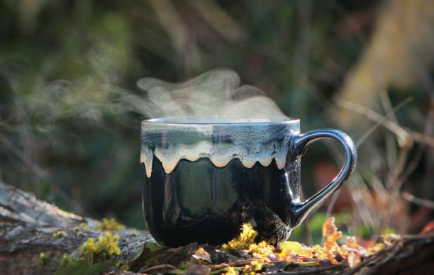 在大自然中，热咖啡在长满青苔的原木上冒着蒸汽。图片下载