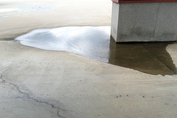 地上的水在大杆子旁边图片下载