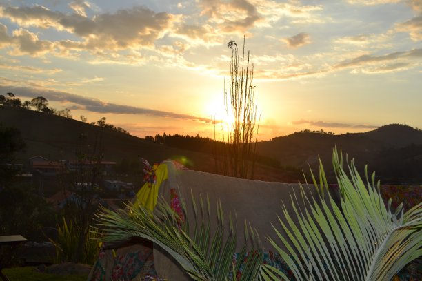 野生和自由图片下载