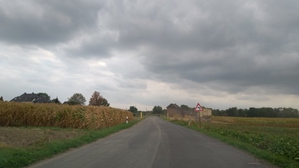 夏天的时候在乡村公路上开车图片下载