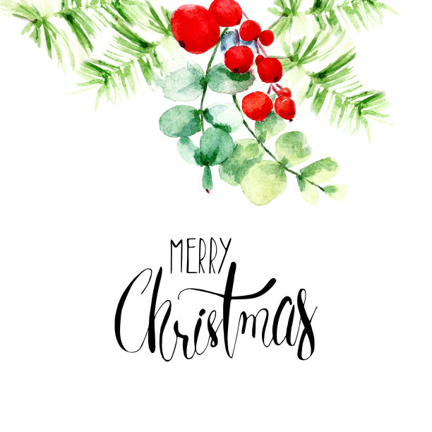 圣诞节上边界装饰与松枝，球果，冬青浆果和问候字母书法。图片下载