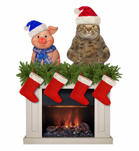 猫和猪在壁炉旁图片下载