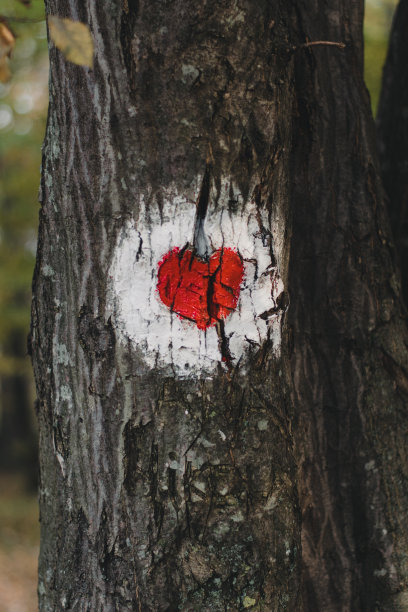 红心自然背景图片下载
