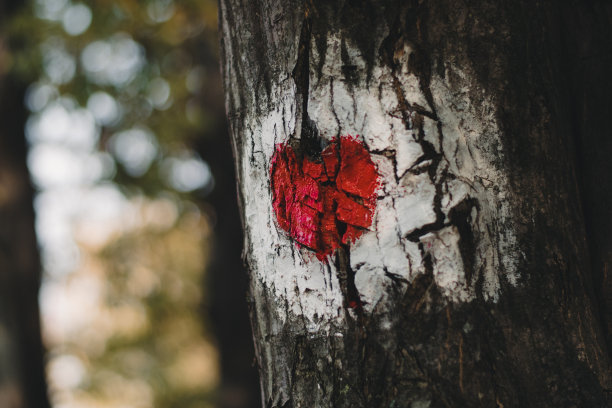 红心自然背景图片下载
