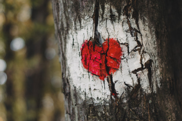 红心自然背景图片下载