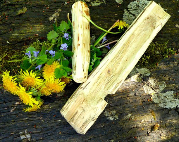 马赫林图片下载