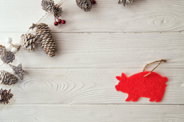 圣诞装饰花环，对角线到木板，用红色和白色的浆果，雪枞锥和星星。粉红猪——中国农历新年的象征。图片下载