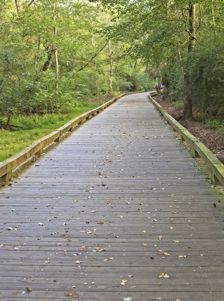 秋季健身步道图片下载