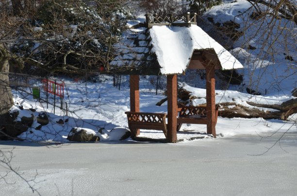 纽约冬天的中央公园图片下载