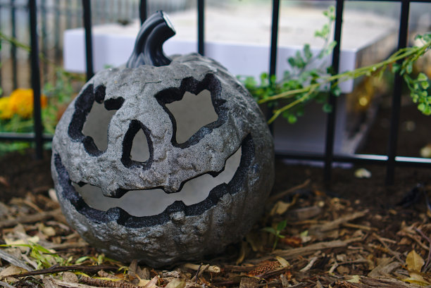 灰色的万圣节南瓜图片下载