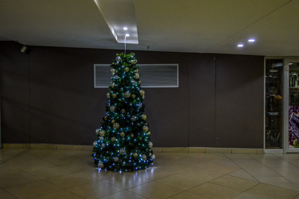 南非约翰内斯堡梅尔罗斯拱门购物中心的圣诞树图片下载