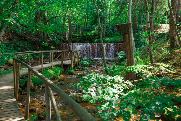城市Ieriki,拉脱维亚。河流和瀑布，绿色的树木和草。石头和水花飞溅。2018年自然的照片。图片下载