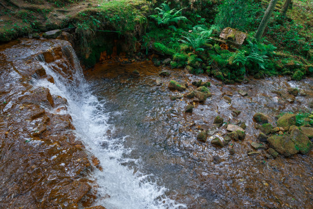 城市Ieriki,拉脱维亚。河流和瀑布，绿色的树木和草。石头和水花飞溅。2018年自然的照片。图片下载