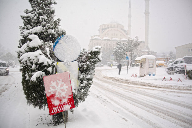 清真寺附近大雪图片下载