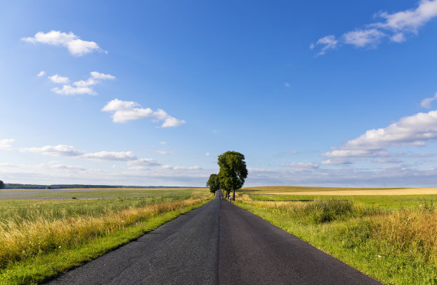 穿过田野，不知去向何方图片下载
