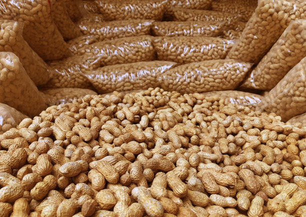 花生。图片下载