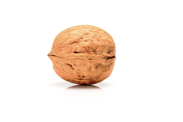 成熟的整个核桃，靠近宏观，孤立在一个白色的背景。图片下载