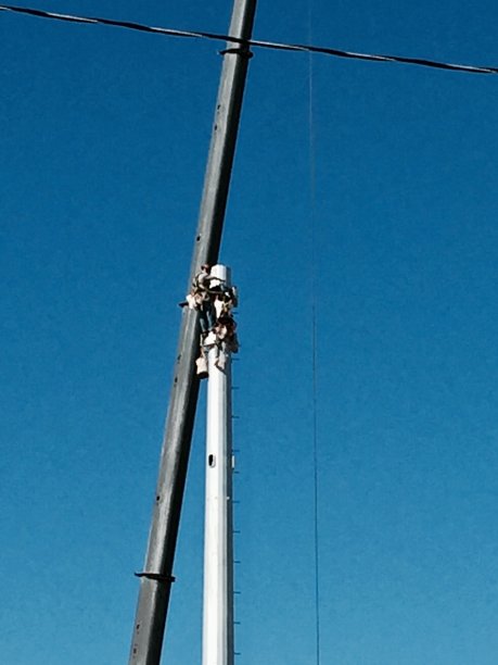 城市之旅(续)图片下载