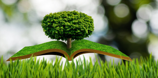 打开的书上有一棵心形的树图片下载