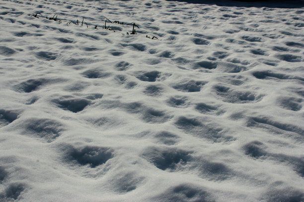 snow-coverd领域图片下载