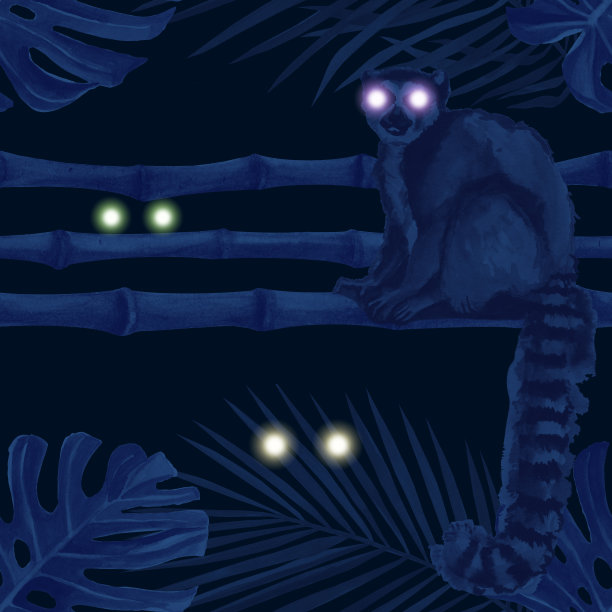 水彩热带野生动物无缝图案。手绘夜间丛林自然，狐猴，动物眼睛，插画图片下载