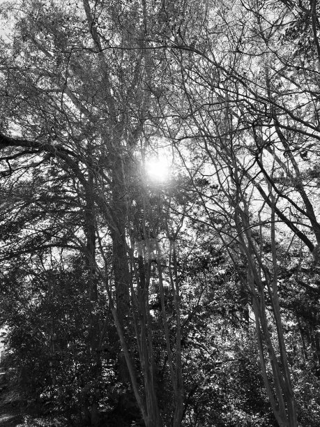 美国乡村小镇，黑与白图片下载