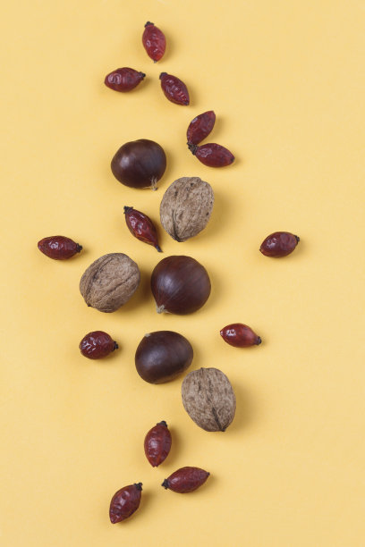 栗子、核桃和玫瑰果图片下载