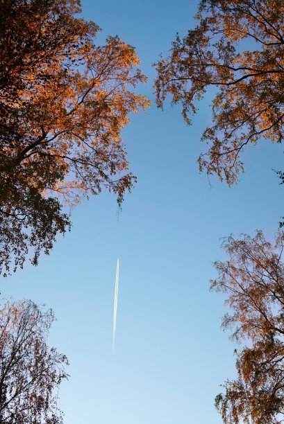 飞行飞机和尾迹在晴朗的天空背景以上的秋天的树顶。俄罗斯,莫斯科图片下载
