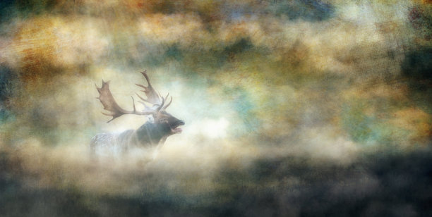 咆哮的休闲鹿在朦胧的风景中。早期绘画大师的绘画风格。图片下载