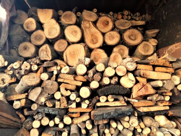 收获的木板和原木是一个巨大的堆图片下载