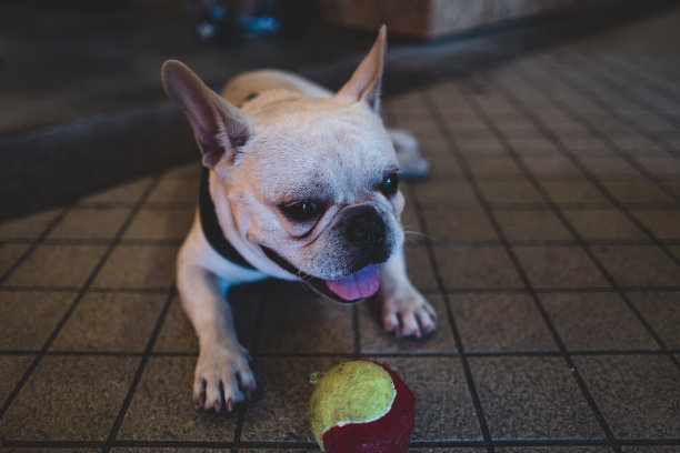 眼睛比语言更响亮。图片下载