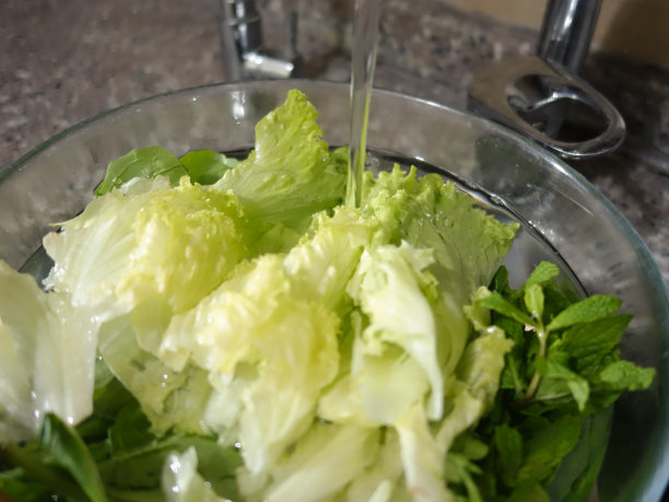 洗生菜叶子的特写图片下载