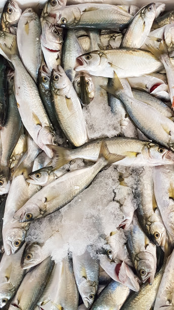 海鲜和生鱼市场。食品概念的照片。图片下载